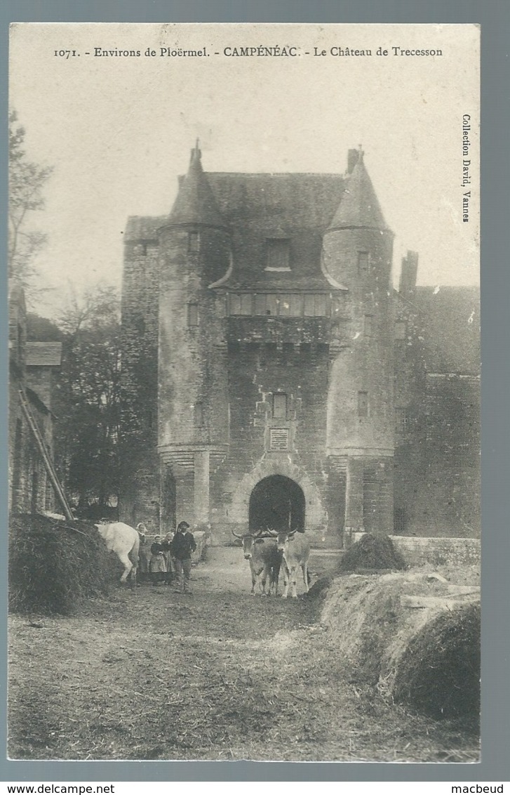 N°1071 - Environs De Ploërmel - Campeneac - Le Chateau De Trecesson  -   Maca0369 - Ploërmel