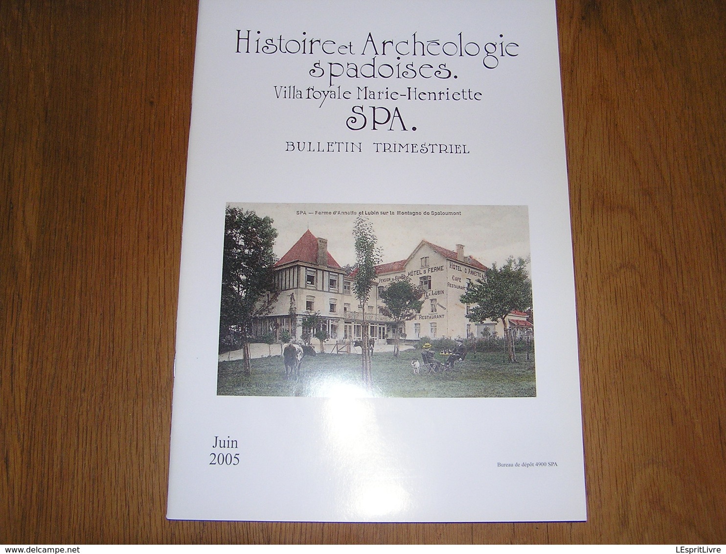 HISTOIRE ET ARCHEOLOGIE SPADOISES Juin 2005 Régionalisme Liège Spa Hotellerie Fourneaux Sidérurgie Poswick Hurlet Mineur - België