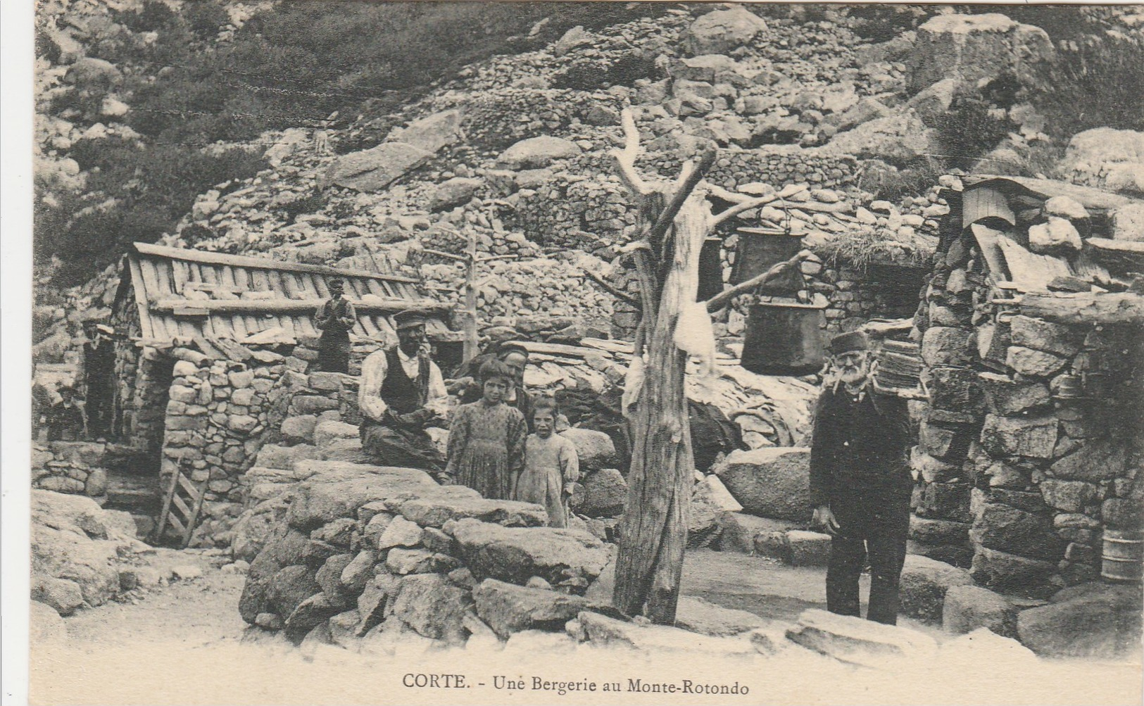 Corse ,Corte, Une Bergerie  Au Monte-Rotondo , N°  539 - Corte