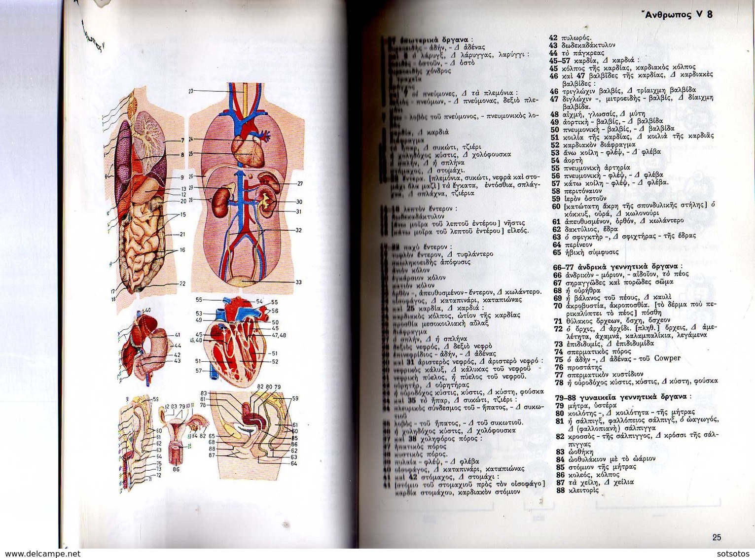 GREEK LEXICON: "EIKONOGRAPTON ONOMASTIKON" Lexicon Of The New Greek Language: Th. VOSTANTZOGLOU; With Tables Of Images F - Wörterbücher