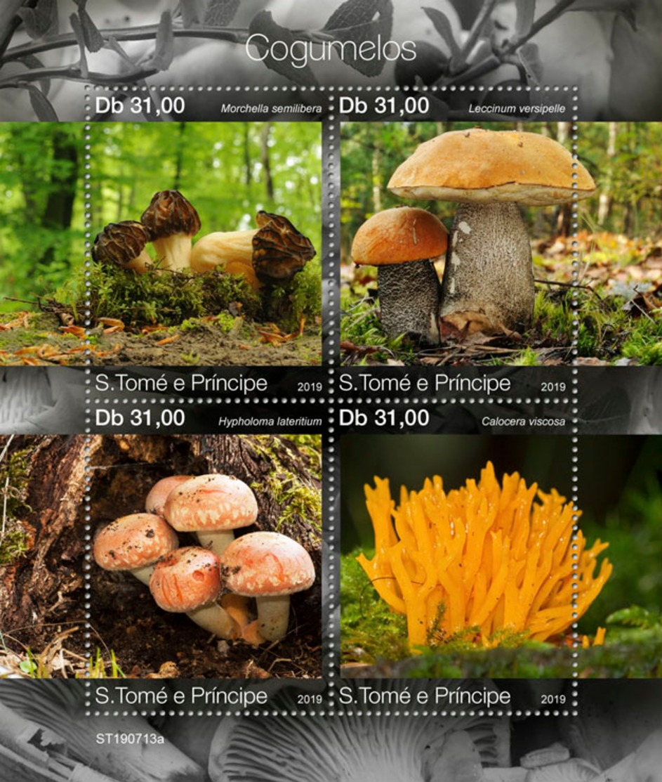 Z08 ST190713a Sao Tome And Principe 2019 Mushrooms MNH ** Postfrisch - Sao Tome And Principe