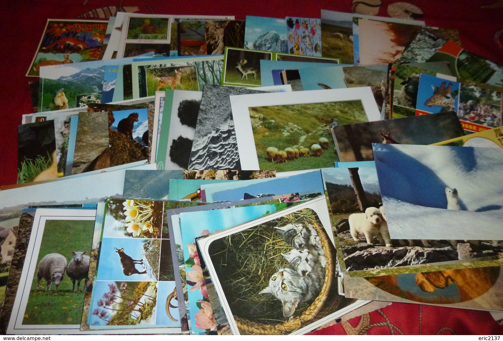 LOT DE 140  CARTES ANIMAUX - 100 - 499 Postcards