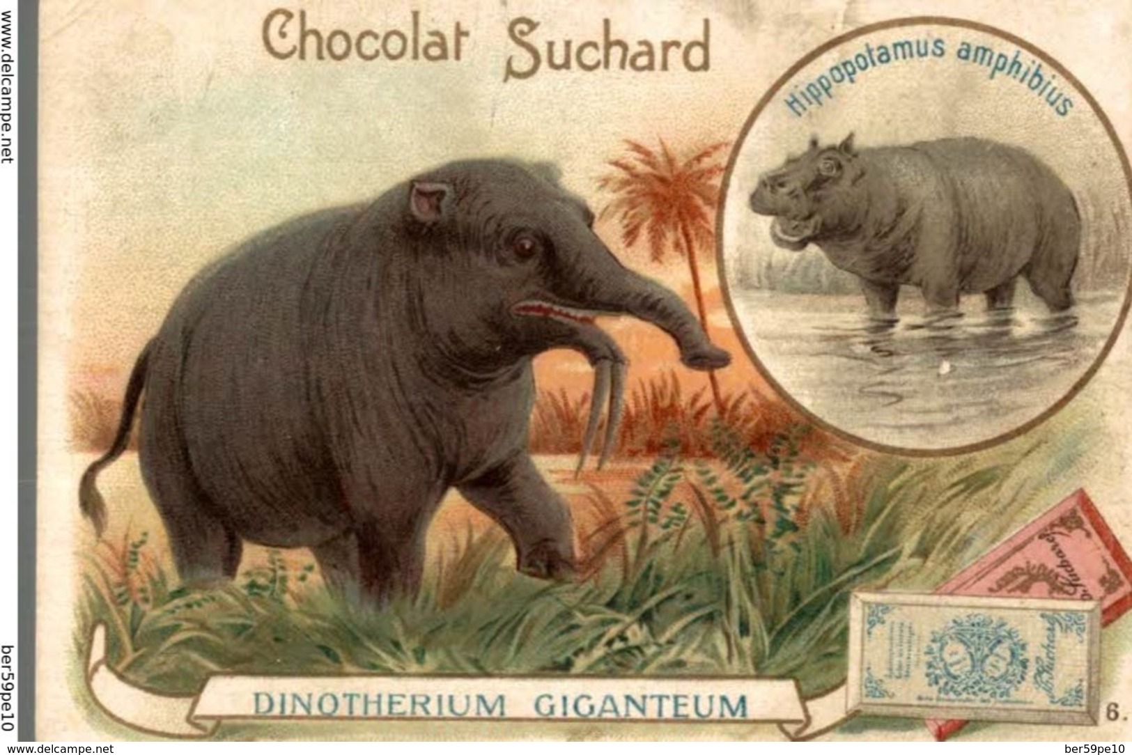 CHROMO CHOCOLAT SUCHARD  DINOTHERIUM GIGANTEUM - Suchard