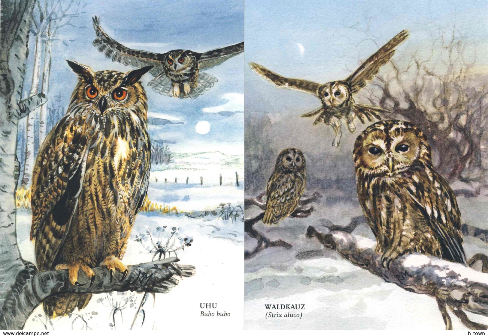 8199  Hibou Grand-duc (Bubo Bubo) + Chouette Hulotte (Strix Aluco): 2 Cpa D'Allemagne -  Eurasian Eagle-owl / Tawny Owl - Uccelli