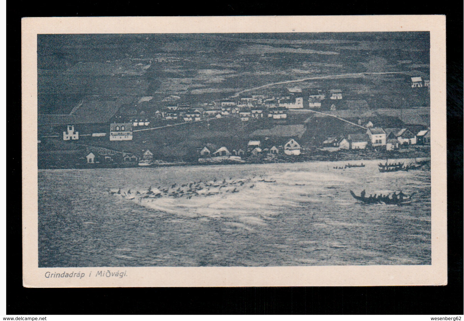 FAROE ISLANDS Grindadrap I MiÕvagi  Ca 1920 Old Postcard - Färöer