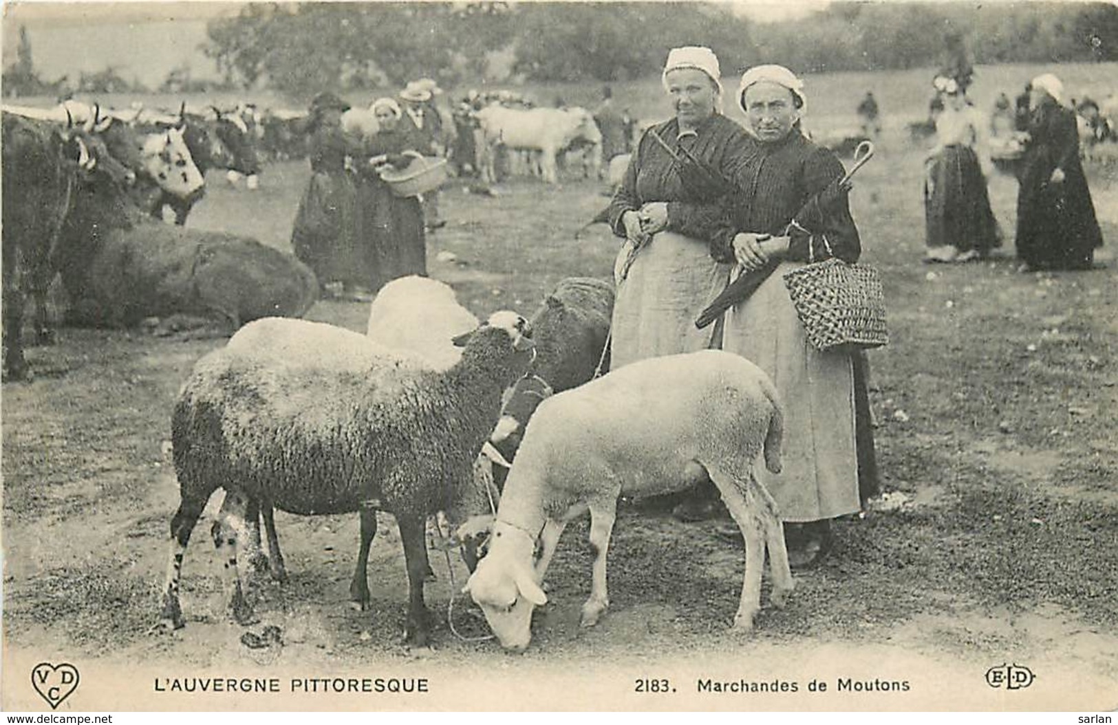 63 , Marchande De Moutons , Foire , * CF 388 23 - Autres & Non Classés