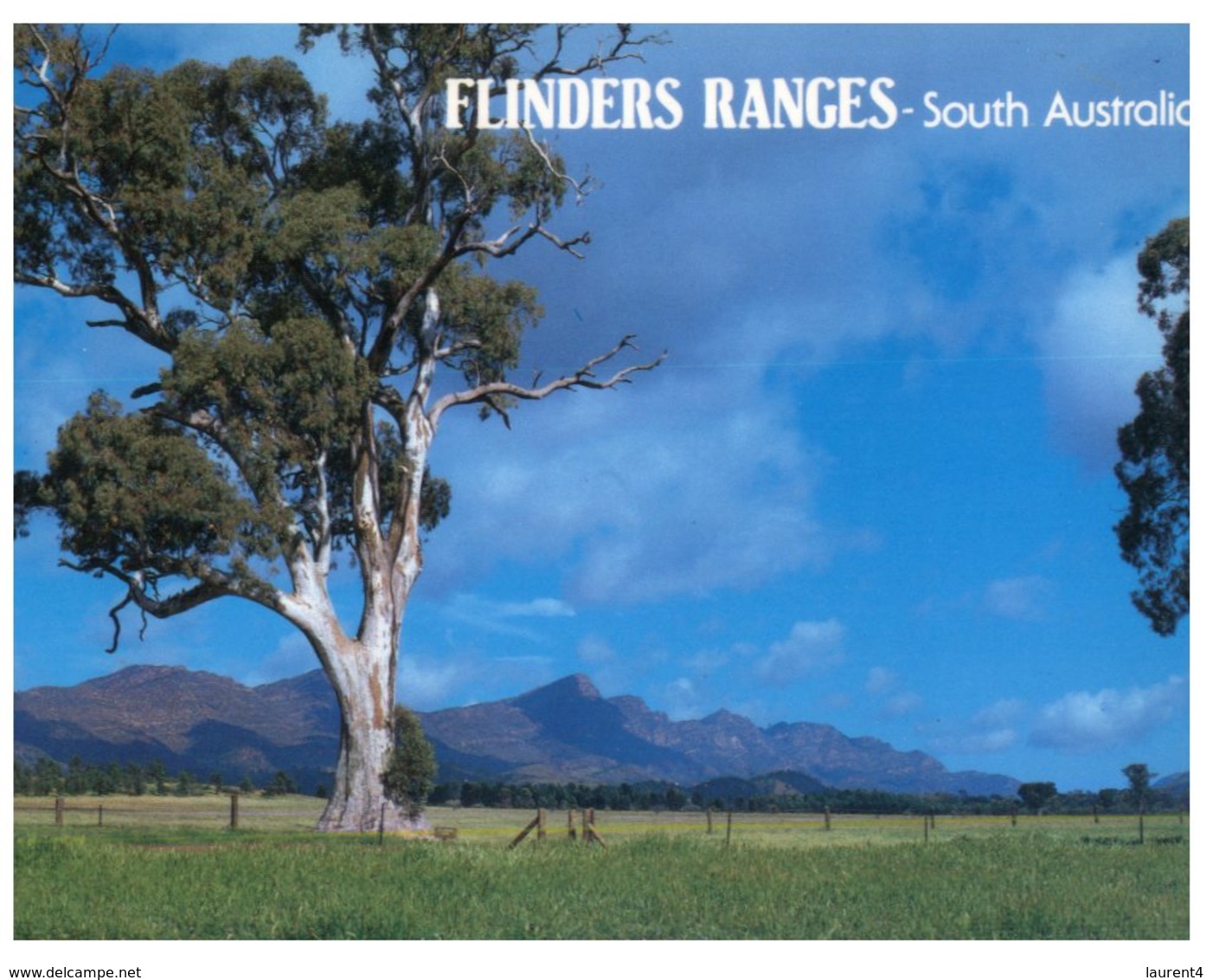 (44) Australia Postcard - (with Chidrens Stamp) - S A- Flinders Ranges - Flinders Ranges
