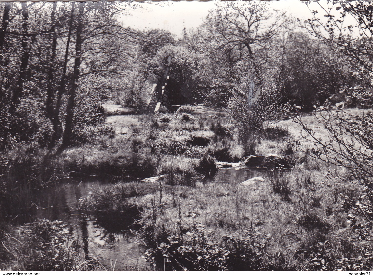 CPSM 23 @ VILLENEUVE - CREUSE - Les Environs Du Vieux Moulin En 1963 - Altri & Non Classificati