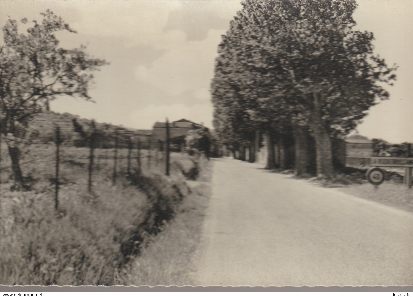 C. P. - PHOTO - LA ROQUEBRUSSANNE - ENTRÉE ROUTE DE BRIGNOLES - 170 - A. B. - La Roquebrussanne