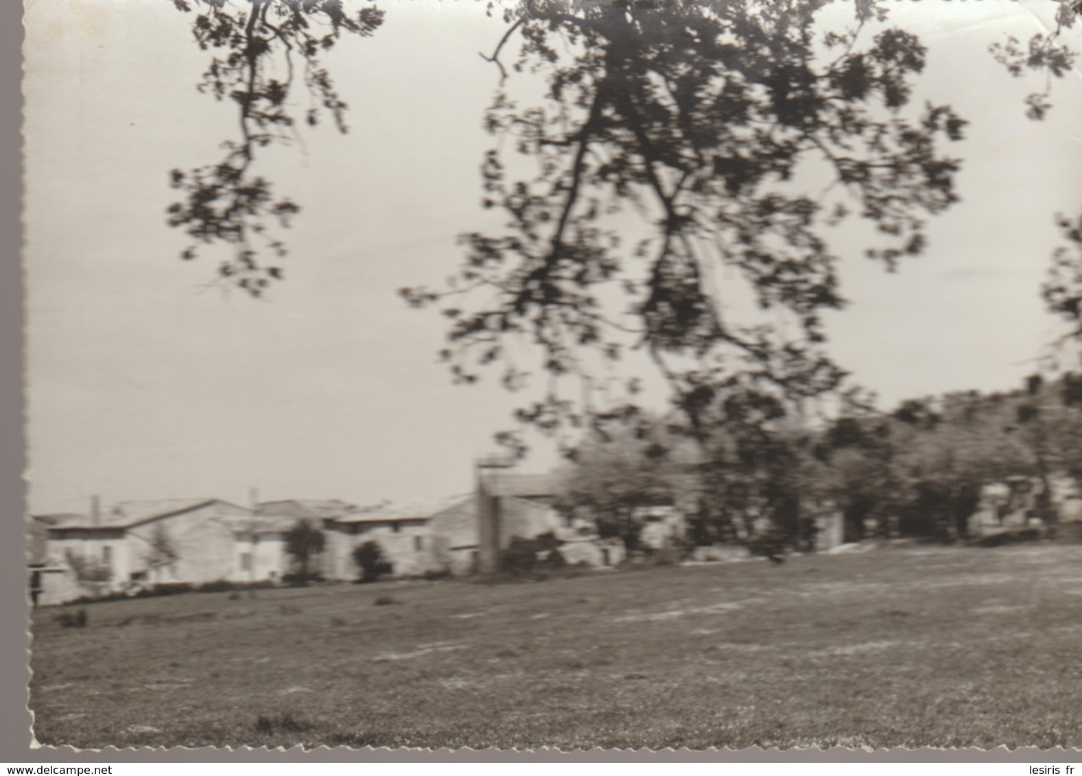 C. P. - PHOTO - ROCBARON - VUE GÉNÉRALE - YVAN TAVERNESE - - Autres & Non Classés