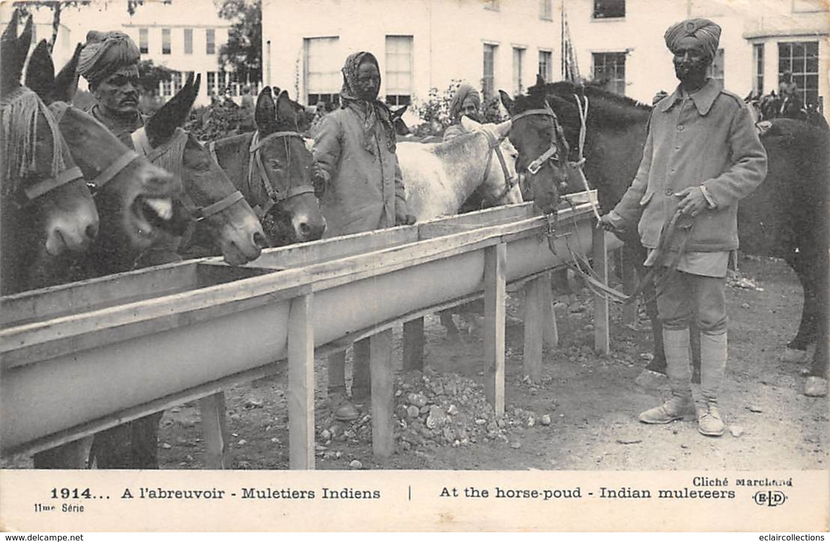 Thème    Guerre 14/18        Indiens Muletiers A L'abreuvoir      (voir Scan) - War 1914-18
