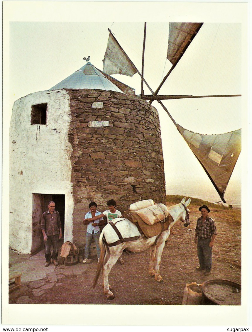 Santa Clara - Moinho De Vento, Windmill - N.º 28 - Ed. CÂMARA MUNICIPAL DE ODEMIRA ( Fot. Luís Pavão ) - Mulini A Vento