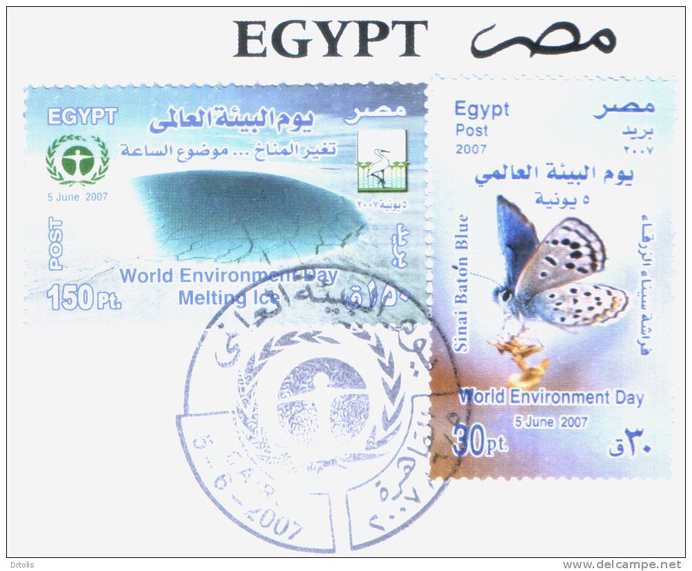EGYPT / 2007 / UN / WORLD ENVIRONMENT DAY / BIRD / BUTERFLY / SINAI BATON BLUE / MELTING ICE / FDC/ VF/ 3 SCANS  . - Covers & Documents