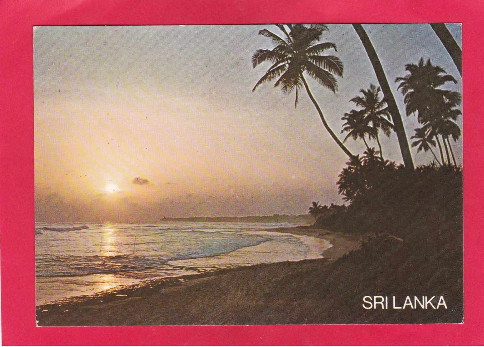 Modern Post Card Of Sri Lanka (Ceylon),Asia,D37. - Sri Lanka (Ceylon)