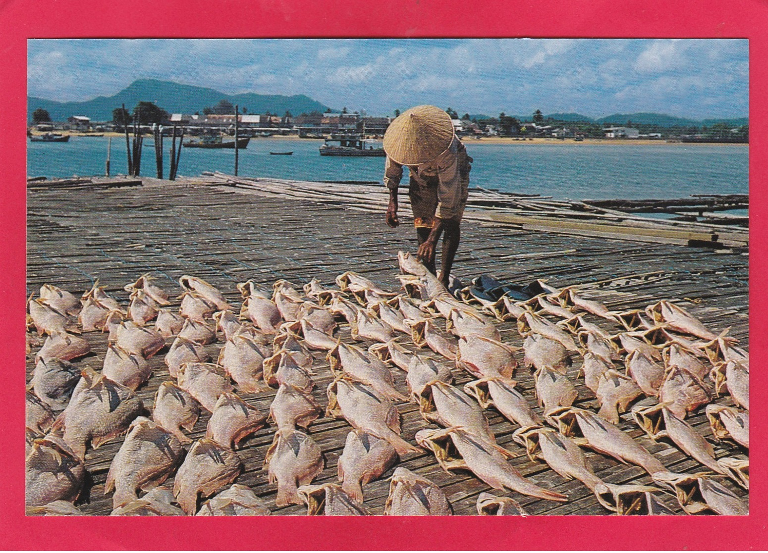 Modern Post Card Of Salted Fish,Malaysia,D38. - Malaysia