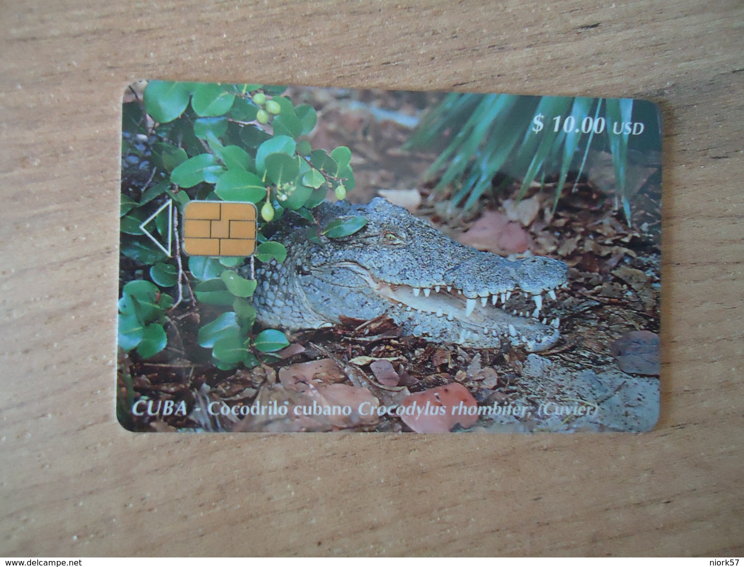 CUBA OLD USED CARDS ANIMALS CROCODYLUS - Cuba