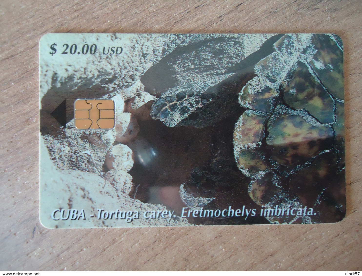 CUBA USED CARDS  ANIMALS TURTLES - Cuba
