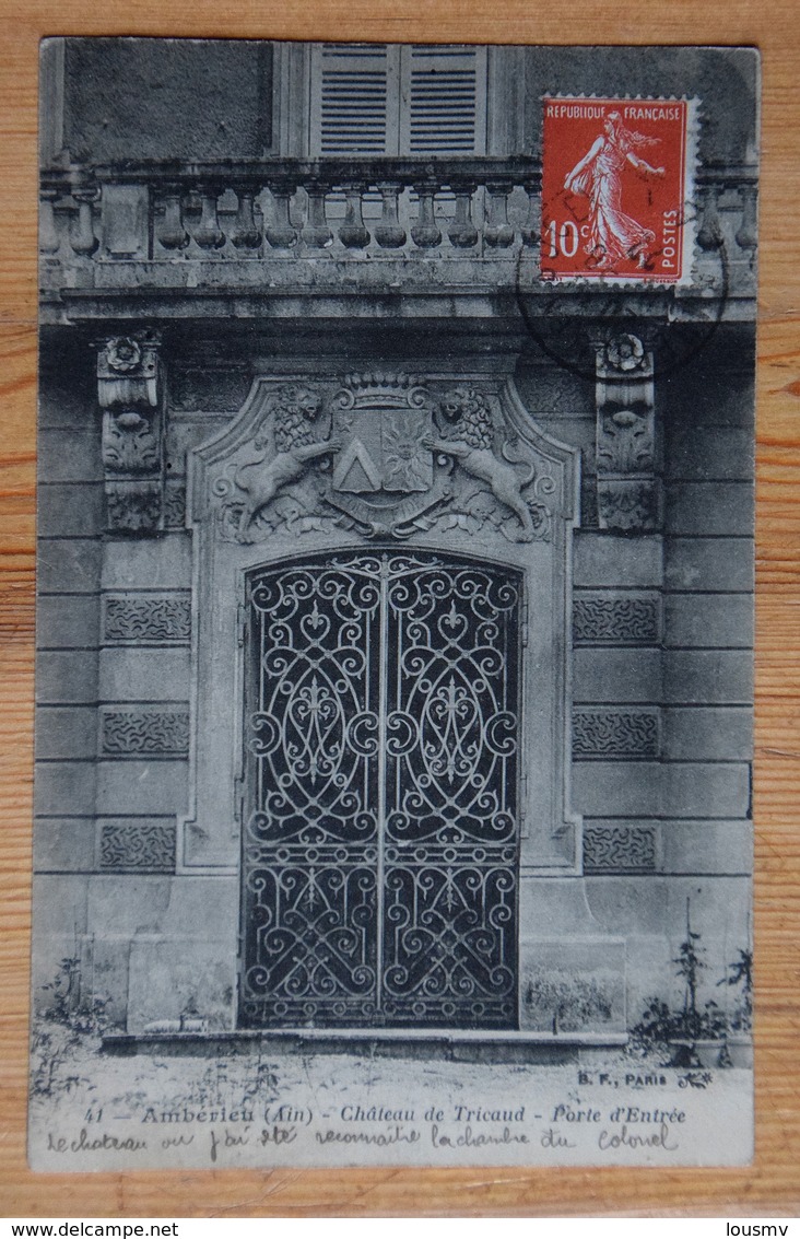 01 : Ambérieu - Château De Tricaud - Porte D'entrée - (n°16732) - Non Classés