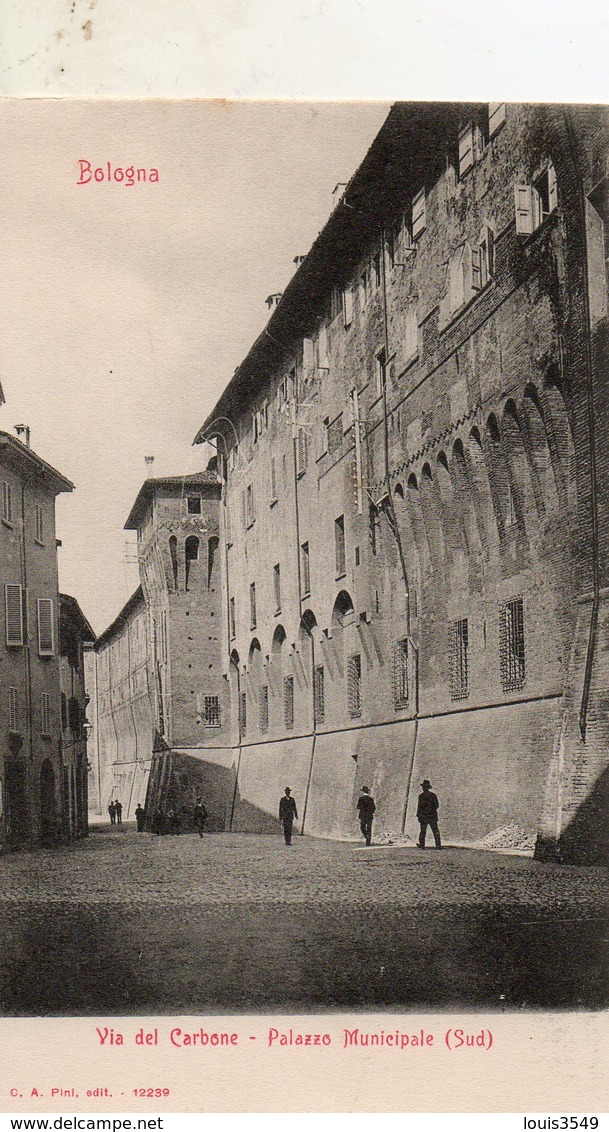 Bologna -    Via  Des  Carbone -  Palazzo  Municipale. - Bologna