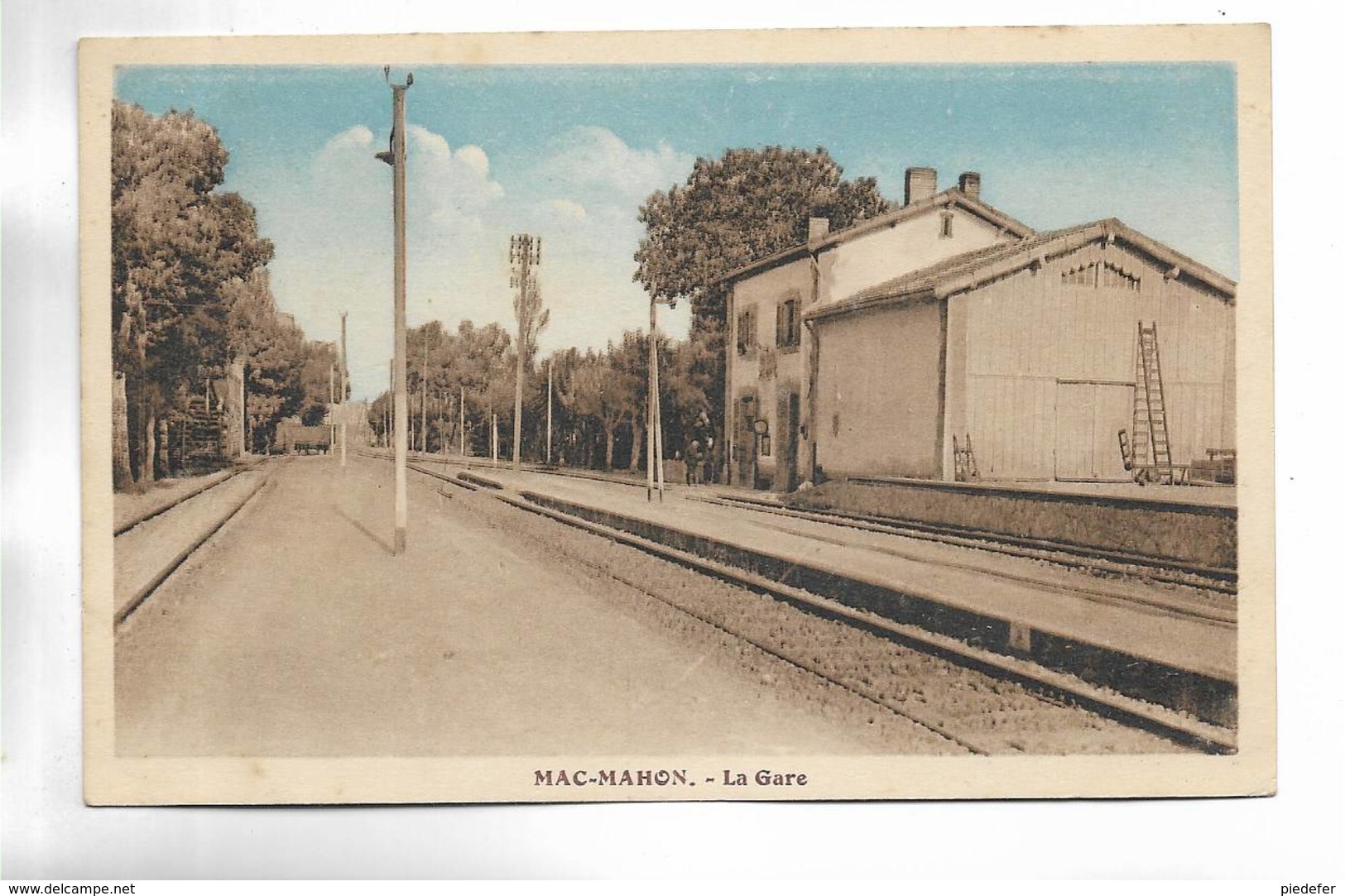 ALGERIE - MAC-MAHON -  La Gare. Carte  Colorée - Autres & Non Classés