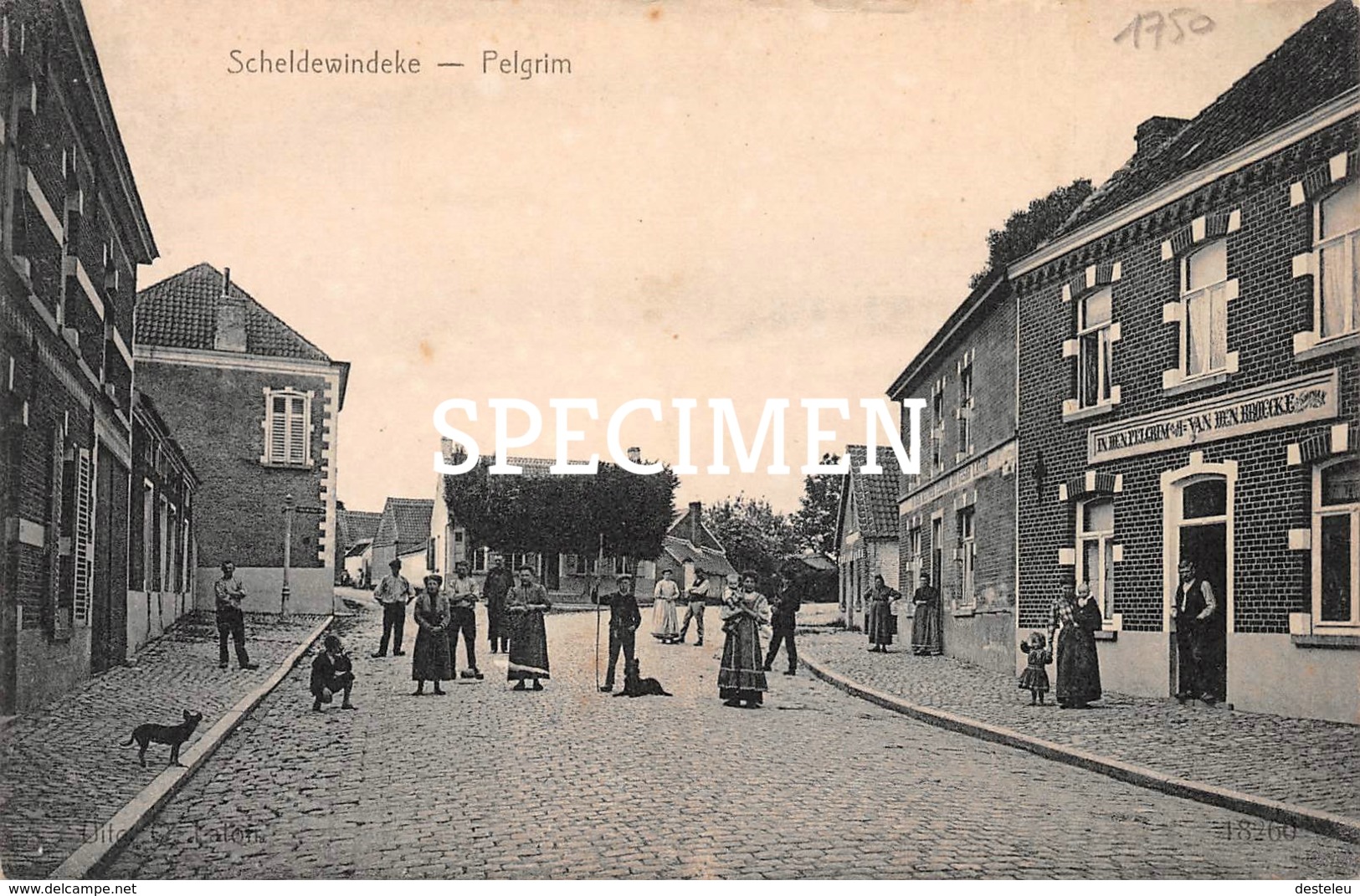 Pelgrim - Scheldewindeke - Oosterzele