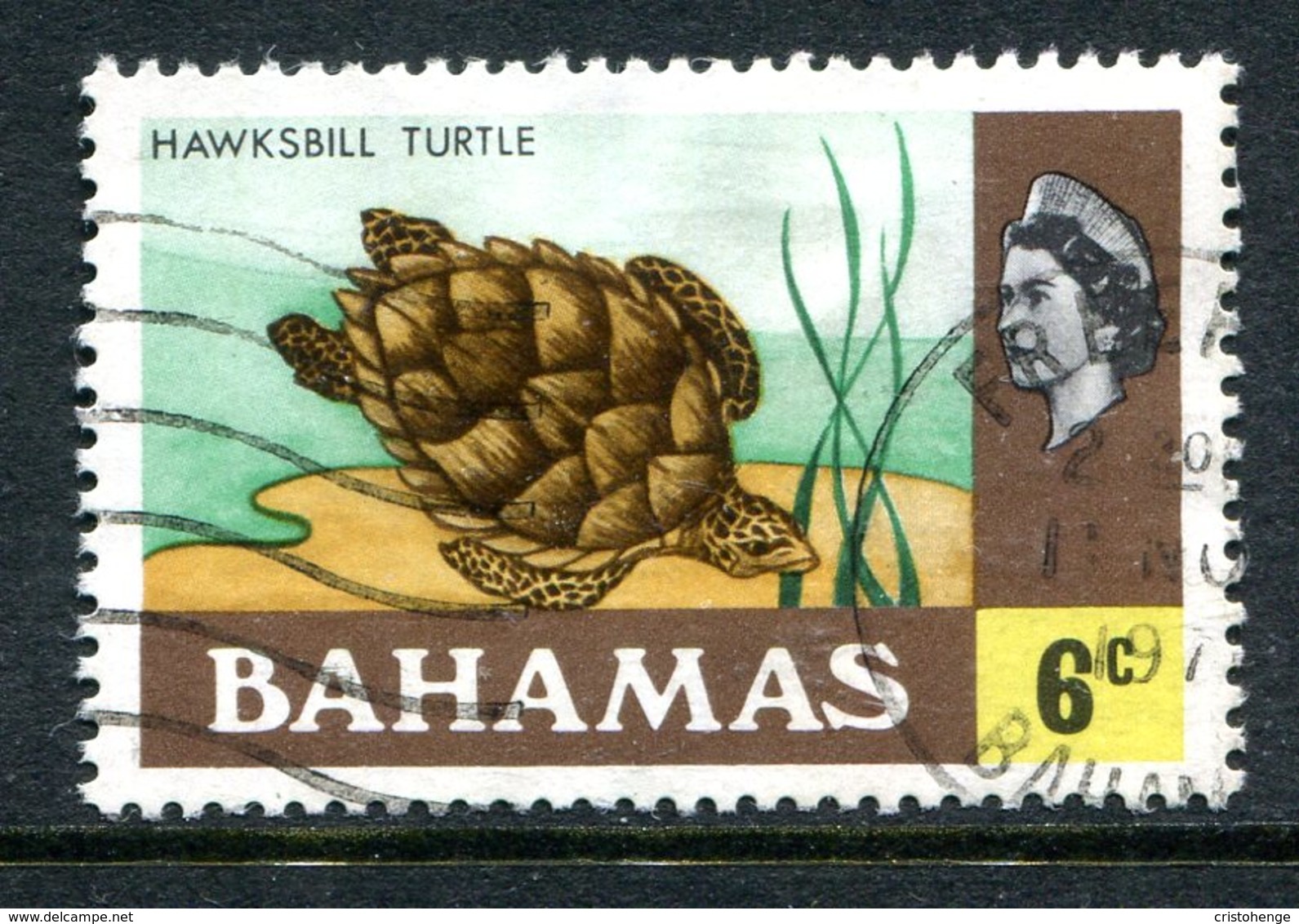 Bahamas 1971 Definitives - 1st Wmk. - 6c Hawksbill Turtle Used (SG 364) - 1963-1973 Autonomie Interne