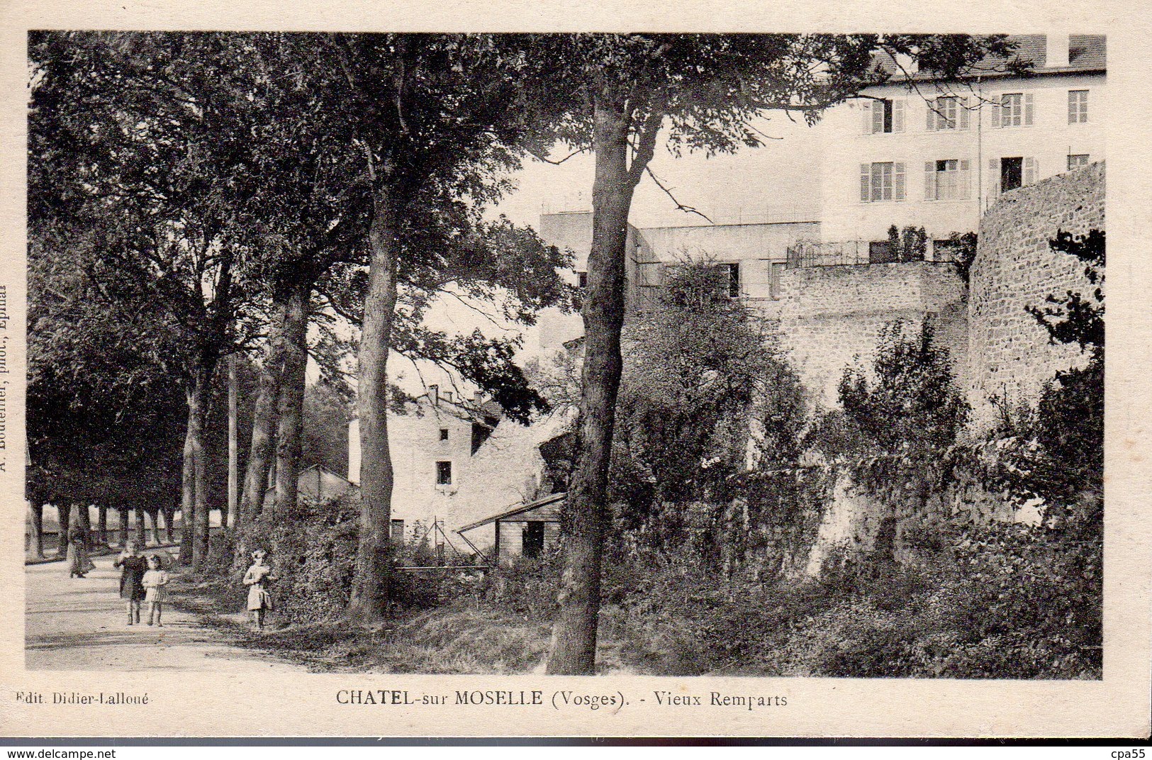 CHATEL SUR MOSELLE  -  Vieux Remparts - Chatel Sur Moselle