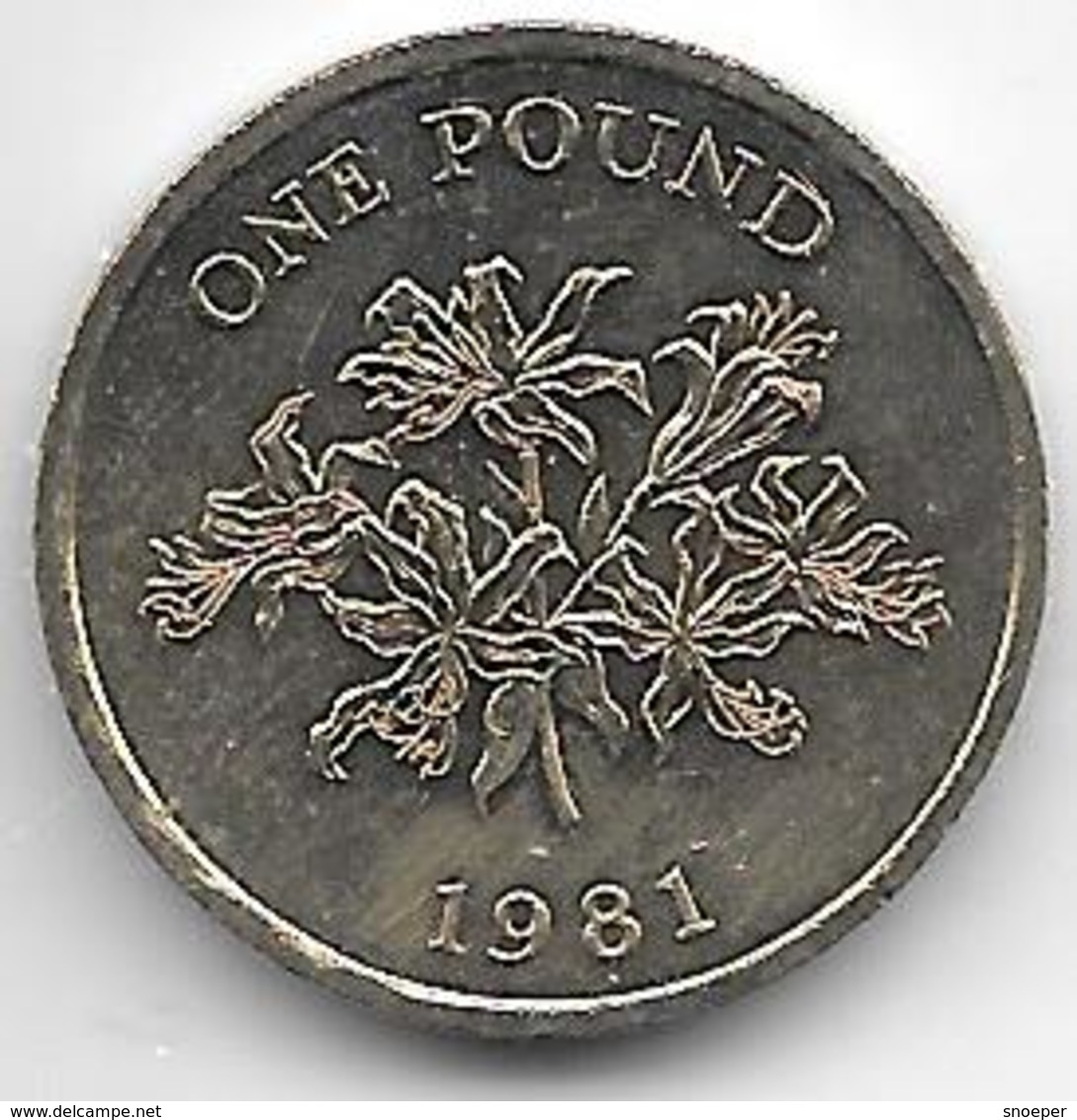 *Guernsey 1 Pound  1981  Km 37 - Guernsey