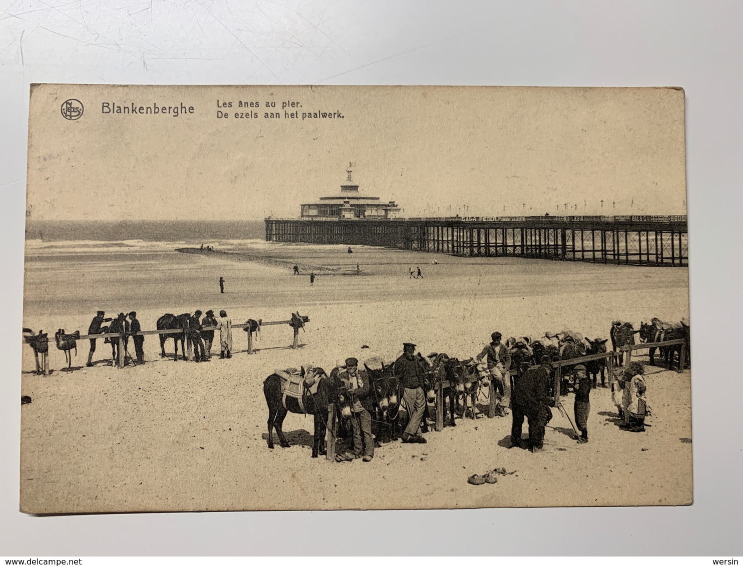 Blankenberghe Les ânes Au Pier 1920 - Blankenberge