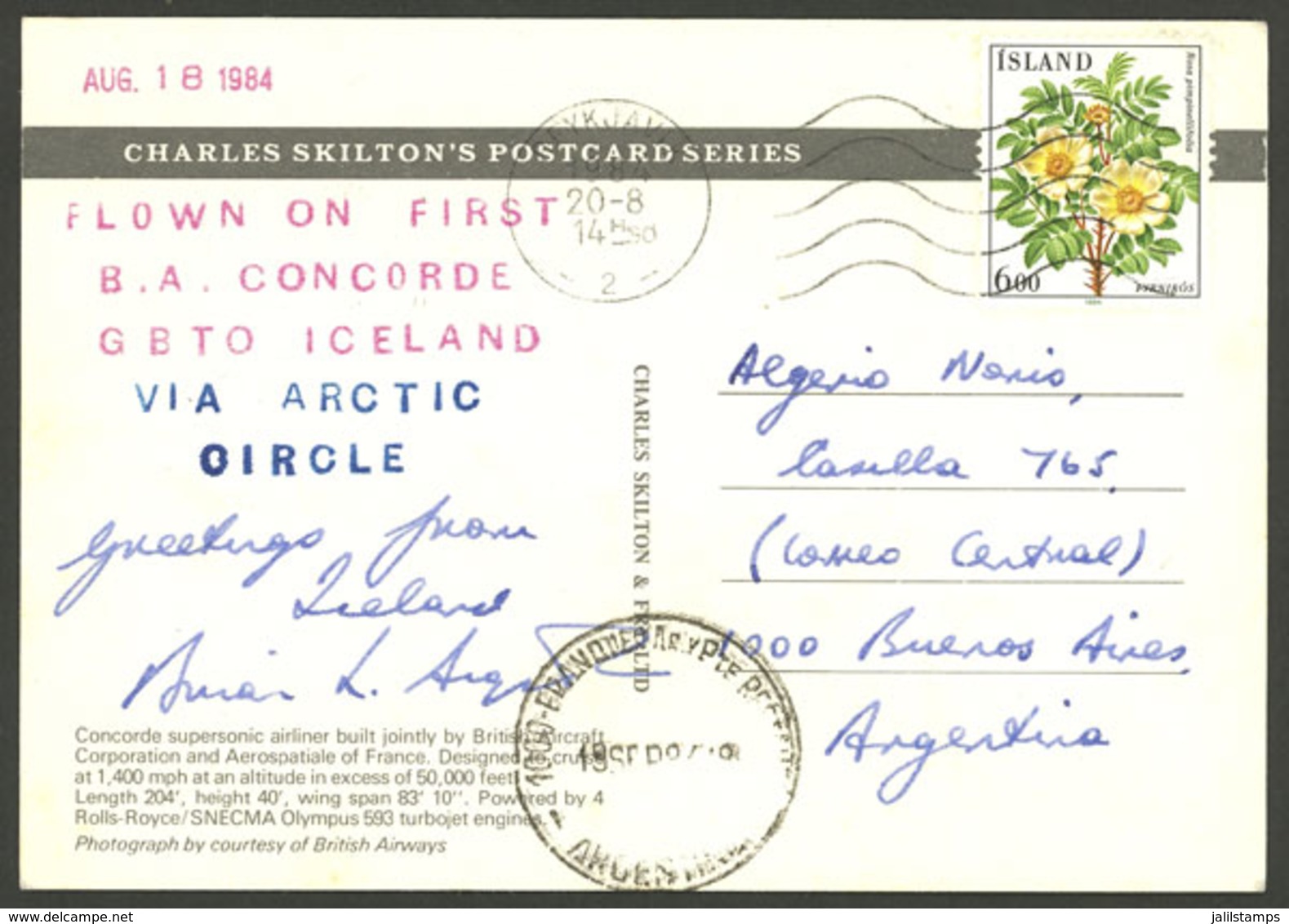 ICELAND: 20/AU/1984 Reykjavik - Argentina, Postcard Flown On First CONCORDE Flight Over The Arctic Betwen Great Britain  - Otros & Sin Clasificación