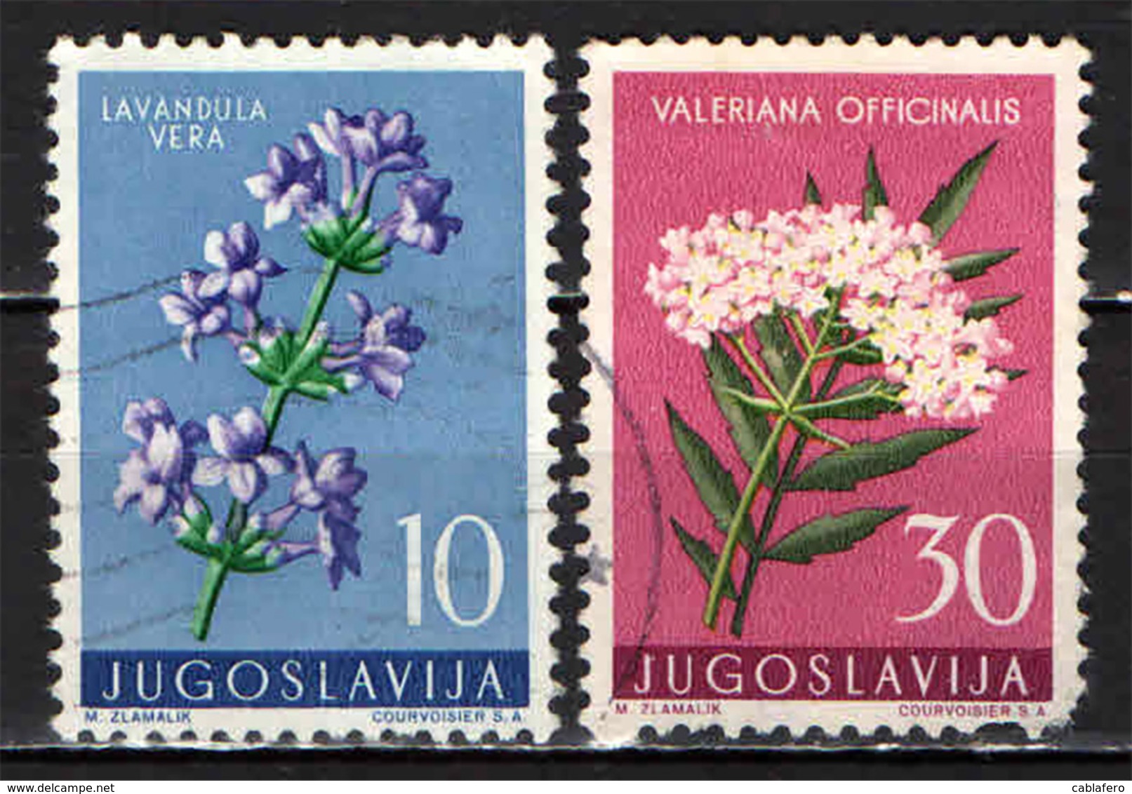 JUGOSLAVIA - 1957 - LAVANDULA VERA E VALERIANA OFFINALIS - USATI - Usati