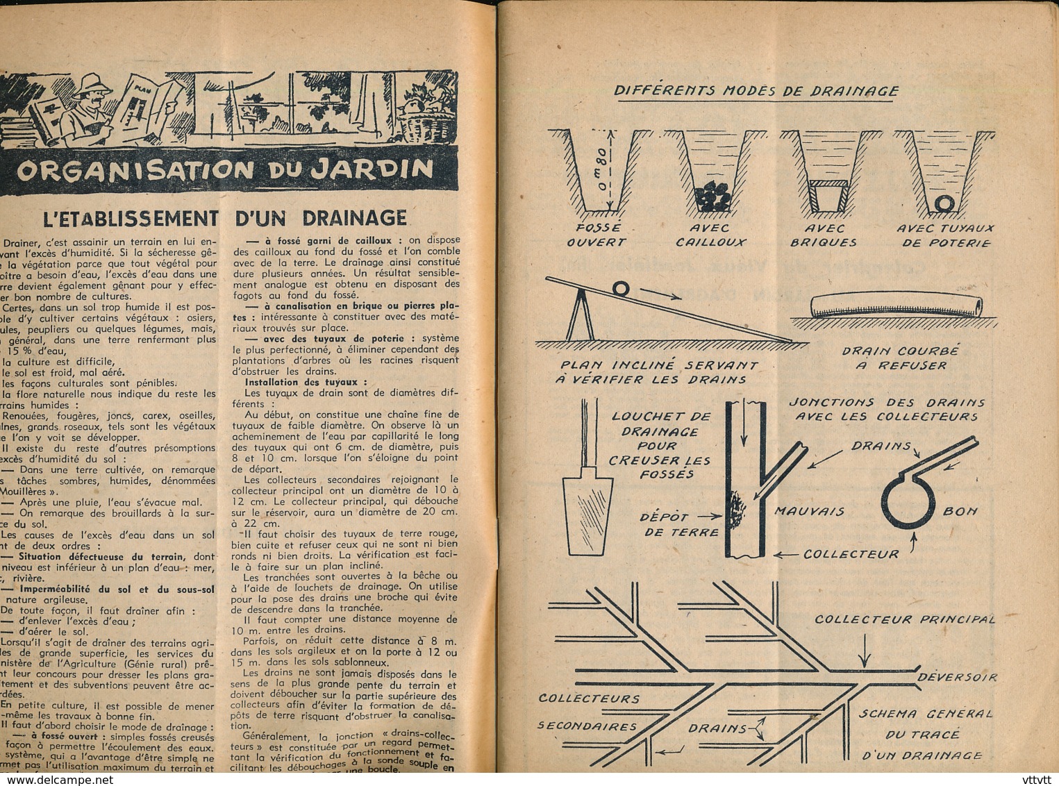 L'AMI DES JARDINS (Août 1950) : Drainage, Navets, Carottes, Poirier, Bordeaux, Abeilles, Iris, Choux, Oignons, Escargots - Jardinería