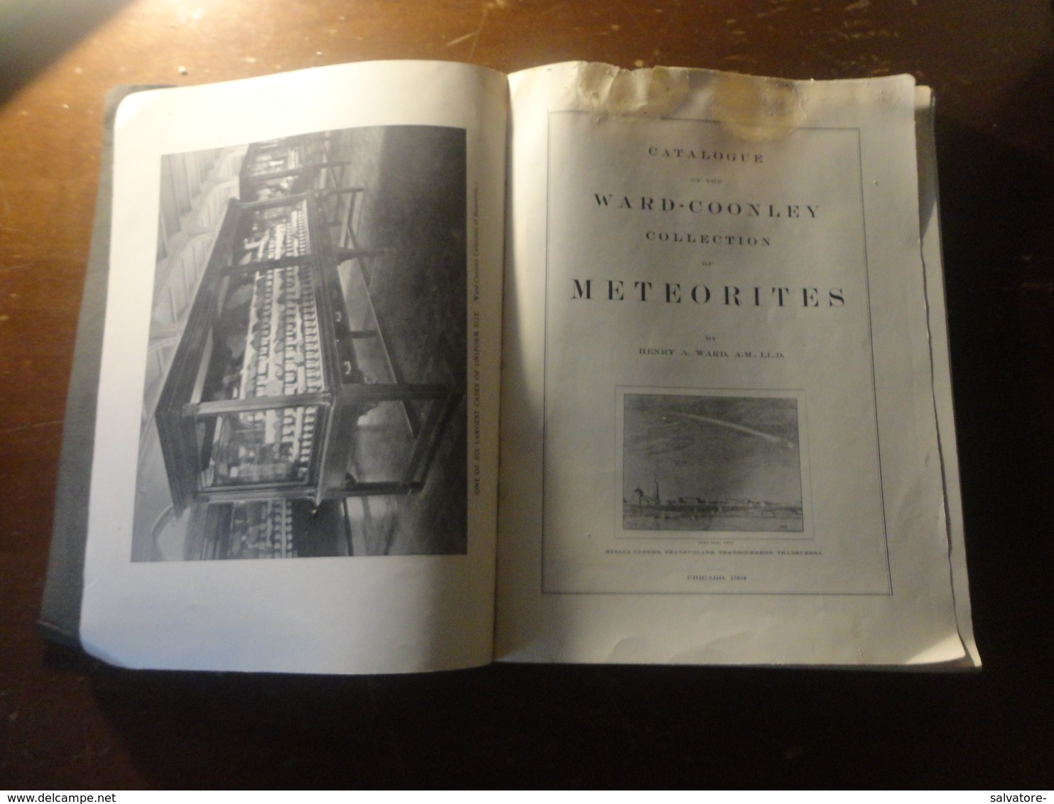 THE WARD-COONLEY COLLECTION METEORITES-CHICAGO 1904 - Autres & Non Classés