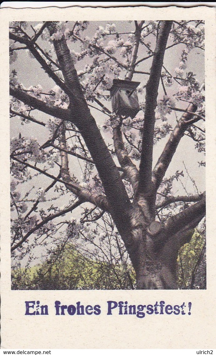 AK Ein Frohes Pfingstfest - Blühender Baum - Vogelhaus - 1951  (45815) - Pentecôte
