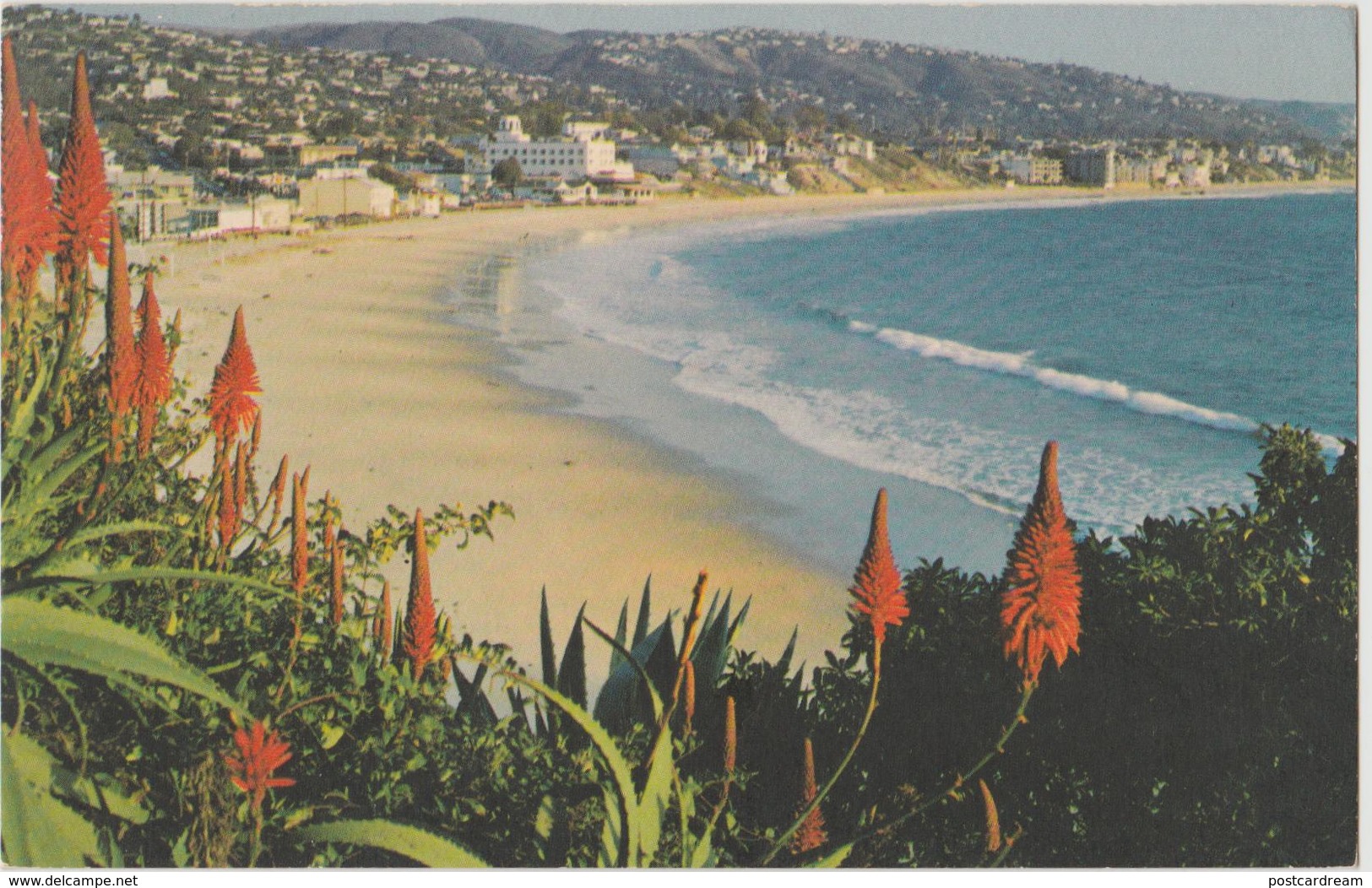 Laguna Beach CA California 1976 Postcard Flowers - Long Beach