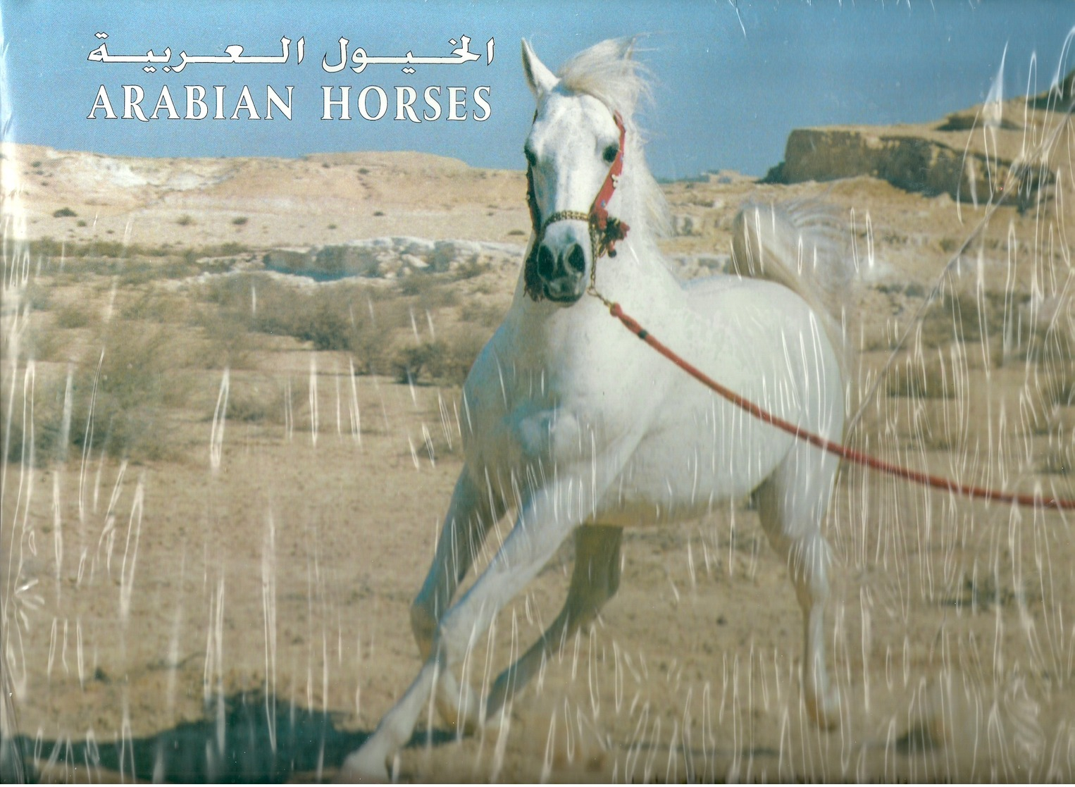 SHH Bahrain 1997 Book About Bahrain Horses MNH Comp - Bahrein (1965-...)