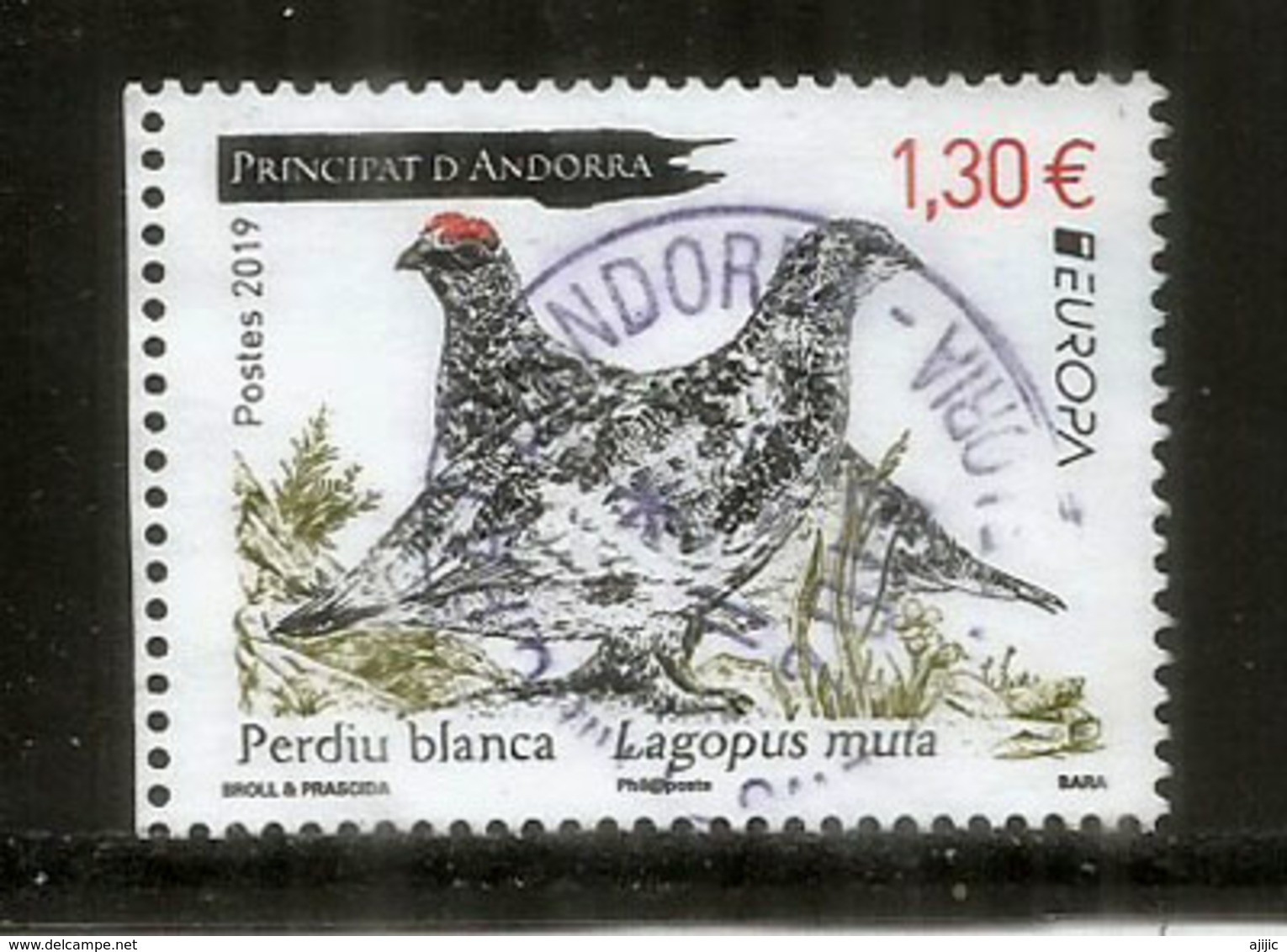 ANDORRA.  La Perdrix Des Neiges.(perdiz Nival) Europa 2019 ,   Oblitéré, 1 ère Qualité, Haute Faciale - Grey Partridge