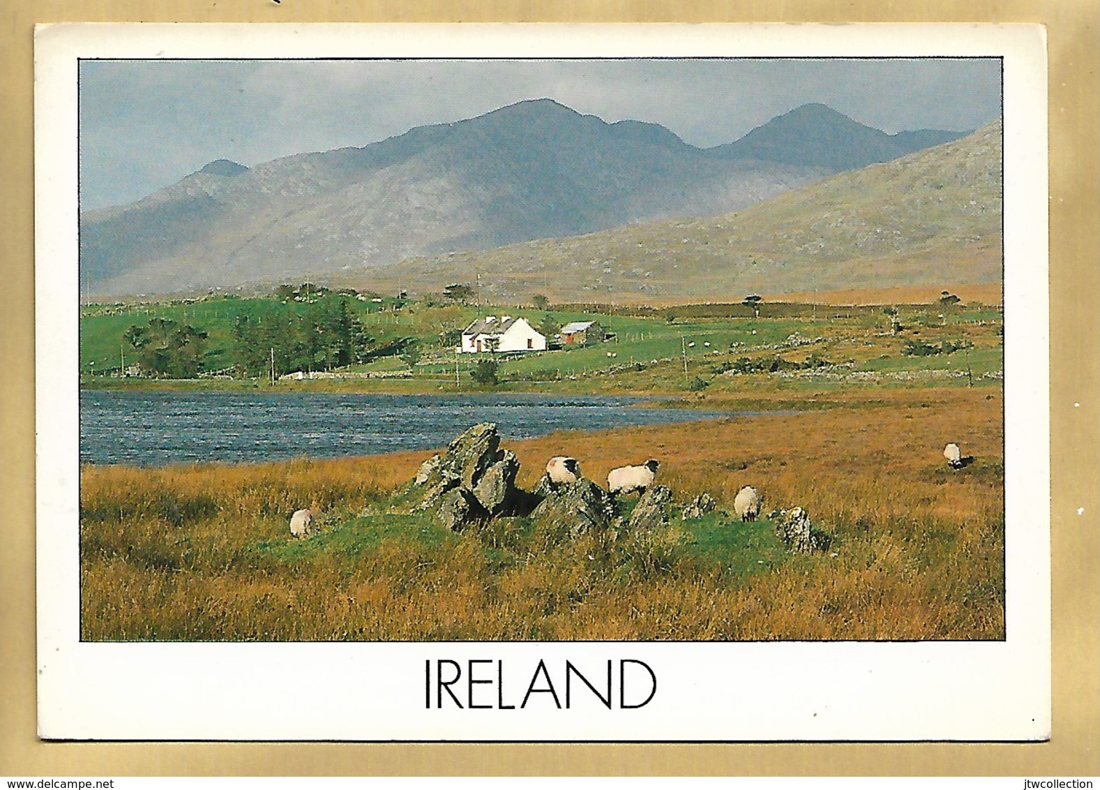 Irlanda - Viaggiata - Altri & Non Classificati