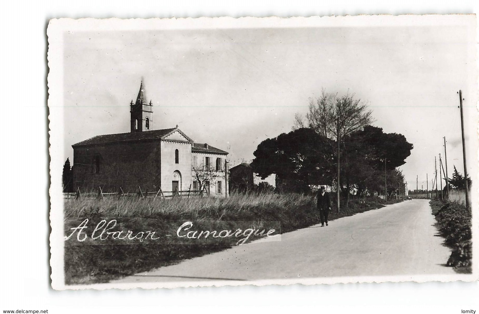 13 Albaron Camargue CPSM PF - Autres & Non Classés