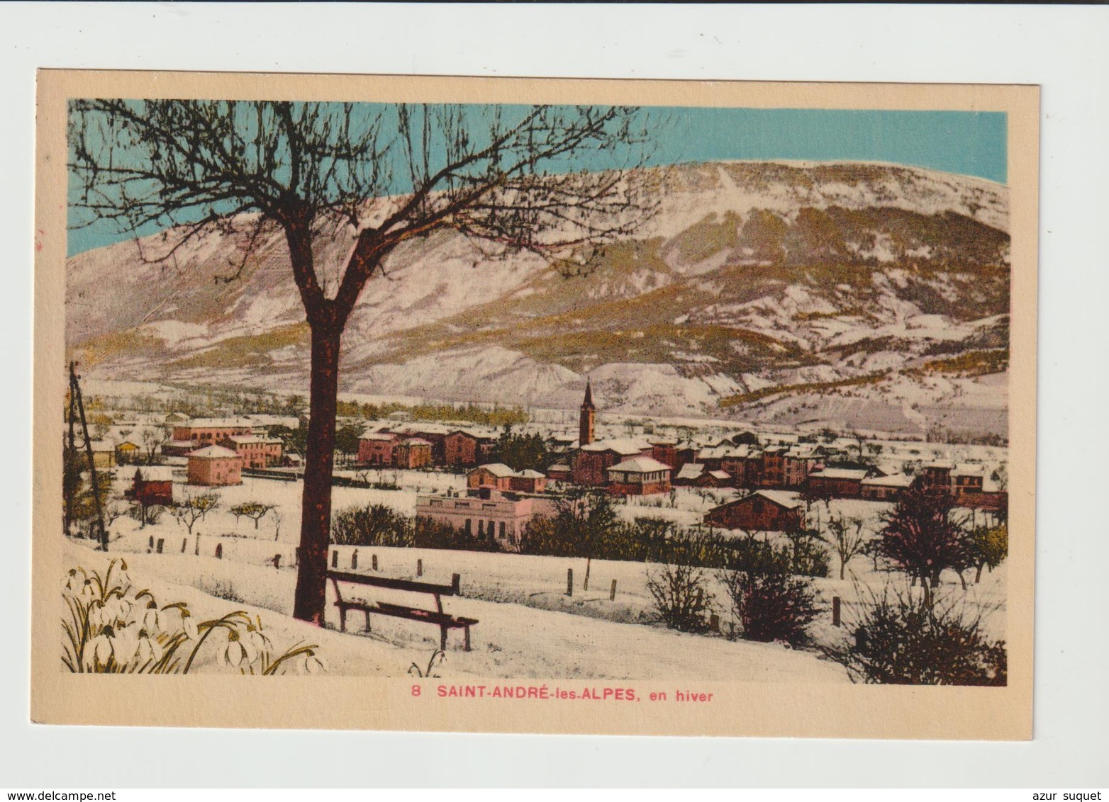 FRANCE / ST. ANDRE LES ALPES / EN HIVER - Otros & Sin Clasificación