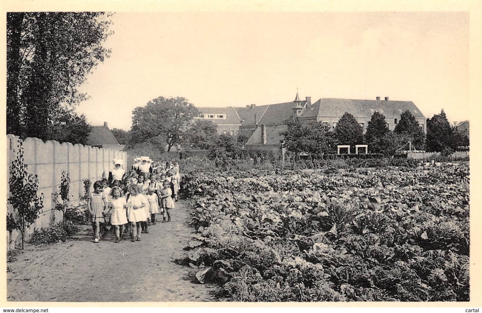 RAVELS - O.L. Vrouw Van De Kempen - Open-lucht-school Voor Zwakke Meisjes - Al Wandelend Door De Moestuin - Ravels