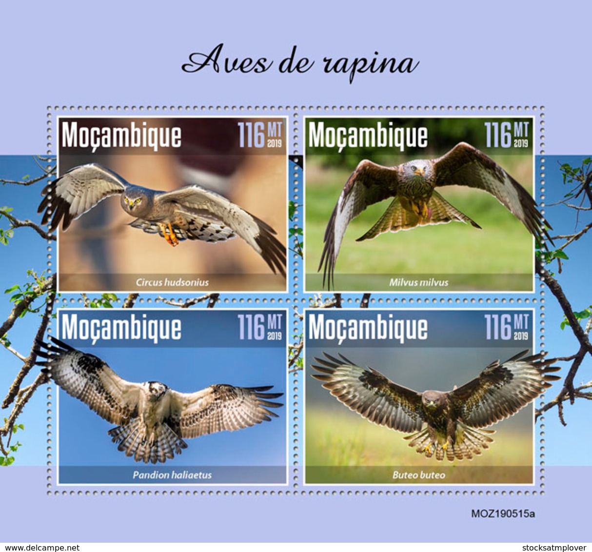 Mozambique  2019  Fauna  Birds Of Prey  S201911 - Mozambique