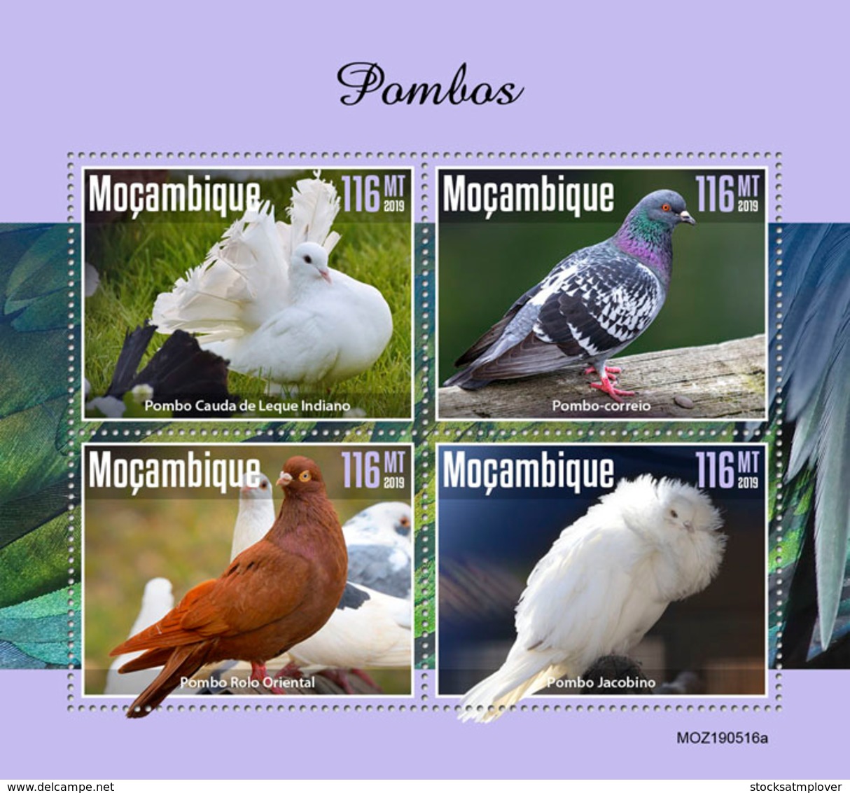 Mozambique  2019  Fauna  Pigeons  S201911 - Mozambique