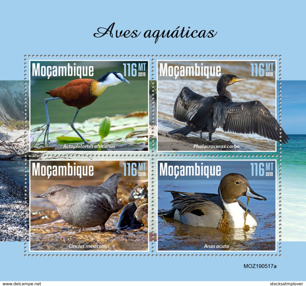 Mozambique  2019  Fauna  Water Birds  S201911 - Mozambique