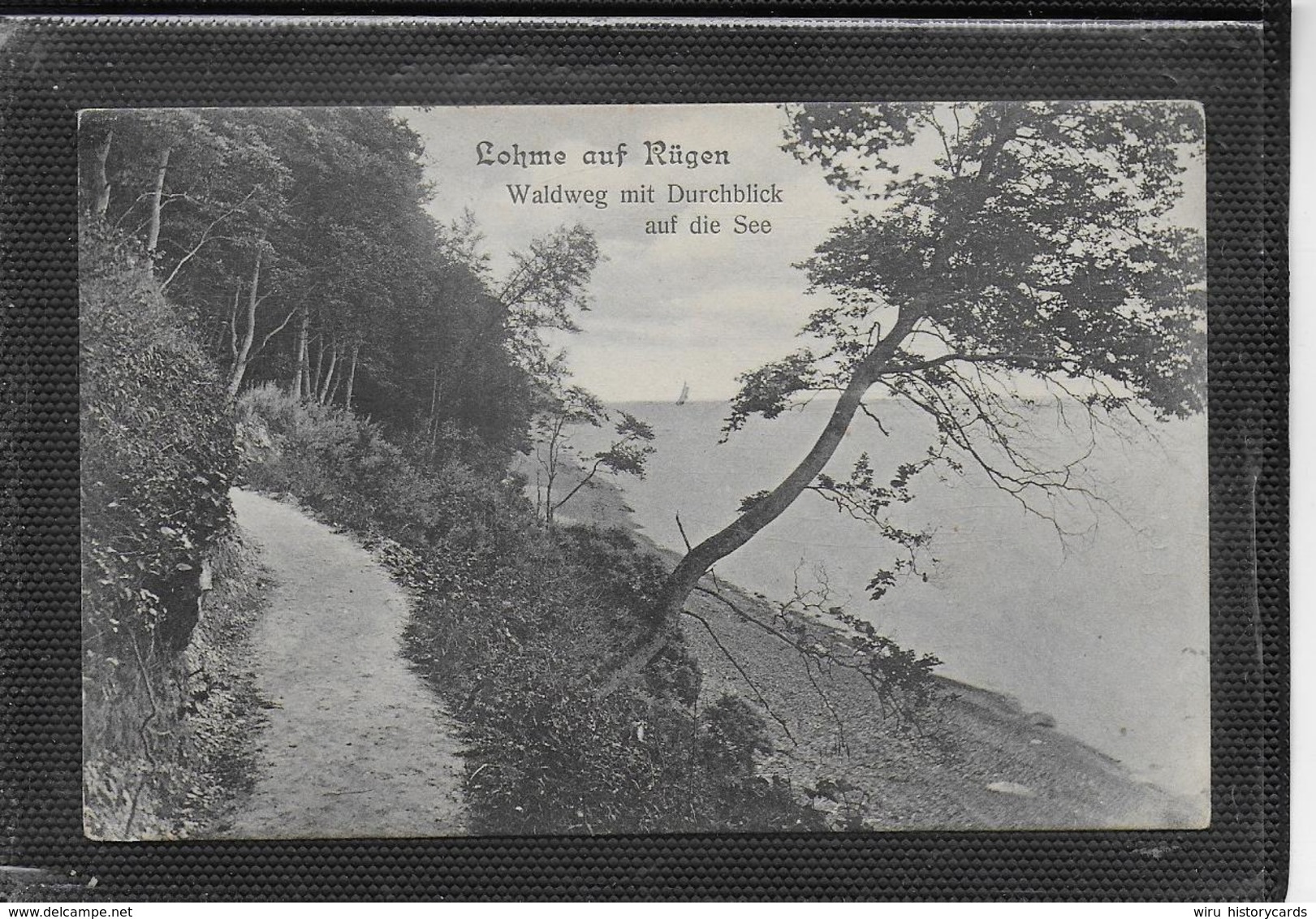 AK 0393  Lohme Auf Rügen - Waldweg Mit Durchblick Auf Die See Um 1909 - Rügen