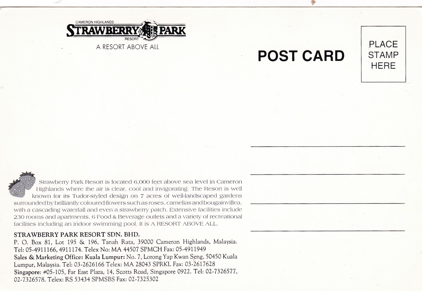 Modern Post Card Of Strawberry Park,Cameron Highlands,Malaysia,D40. - Malaysia