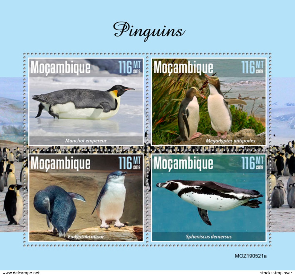 Mozambique  2019  Fauna Penguins  S201911 - Mozambique