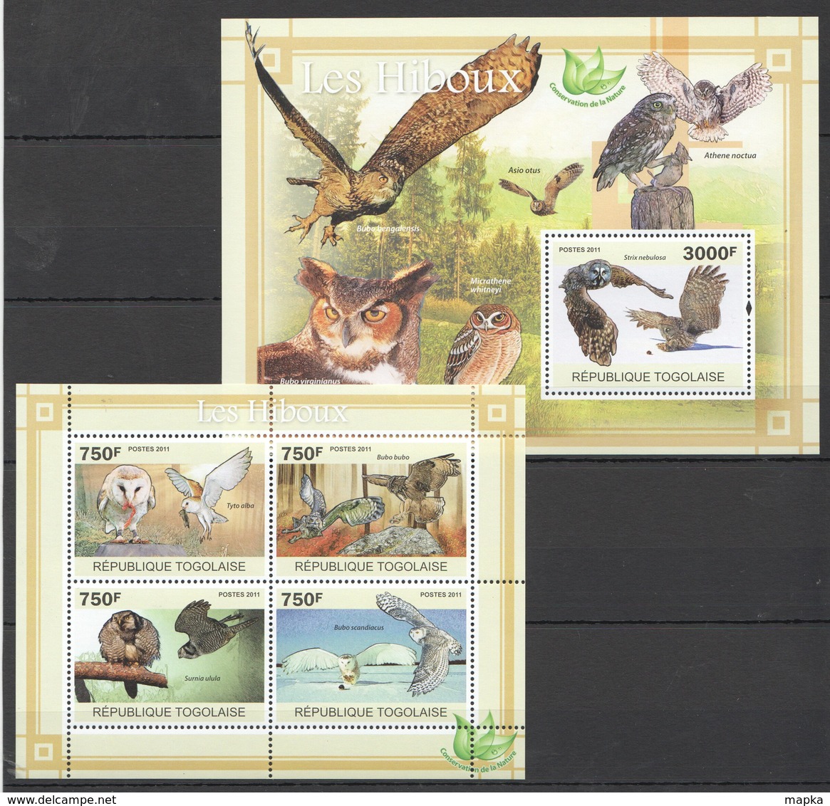 TG1082 2011 TOGO TOGOLAISE FAUNA BIRDS OWLS LES HIBOUX 1KB+1BL MNH - Hiboux & Chouettes