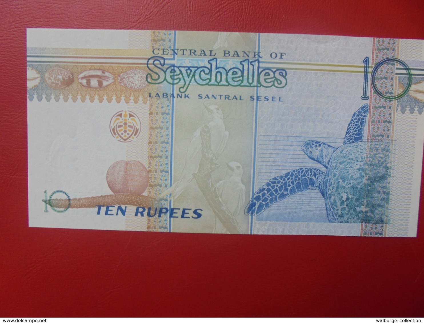 SEYCHELLES 10 RUPEES 1998-2013 PEU CIRCULER/NEUF (B.10) - Seychelles