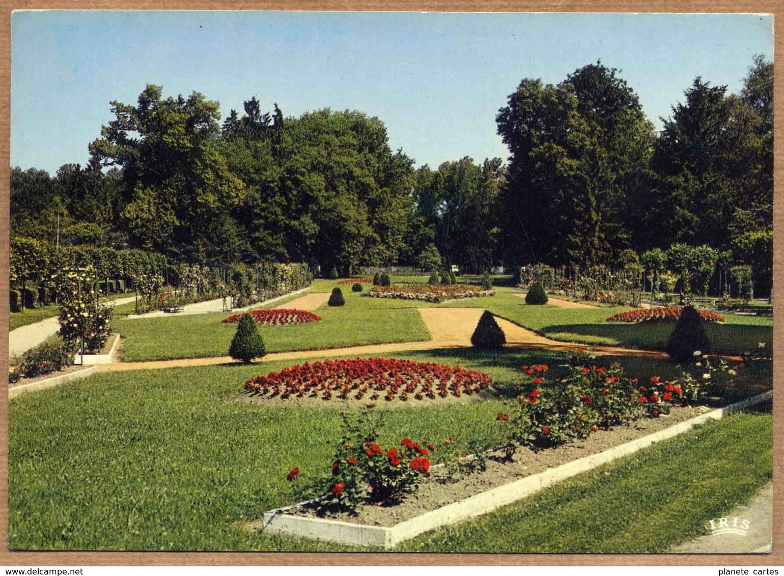 54 / BACCARAT - La Roseraie (années 60-70) Jardin Floral - Baccarat